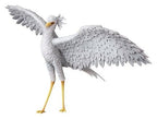 Flow - Secretarybird - UDF – Bild 1
