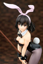 Strike the Blood - PVC Yukina Himeragi Bunny Girl Style 1/7 Scale Statue – Bild 16