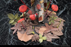 The Mushroom Girls - No.6 Marasmius Haematocephalus 1/1 Scale Statue – Bild 10