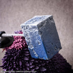 One Piece - Loki - Portrait.Of.Pirates "ELB-MAXIMUM" – Bild 17
