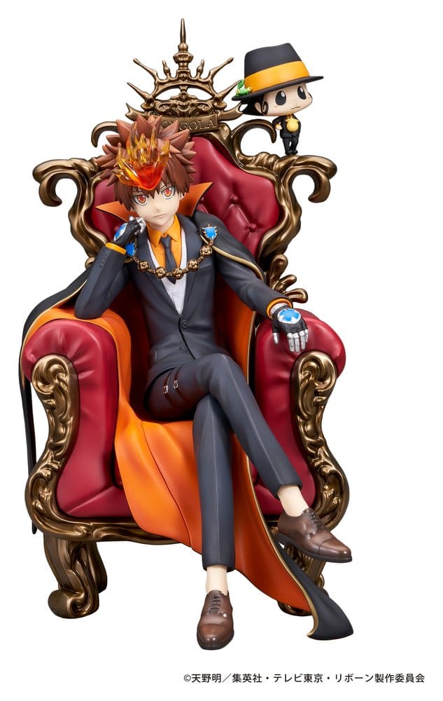 Reborn! - Katekyo Hitman Reborn Tsunayoshi Sawada & Reborn – Bild 1