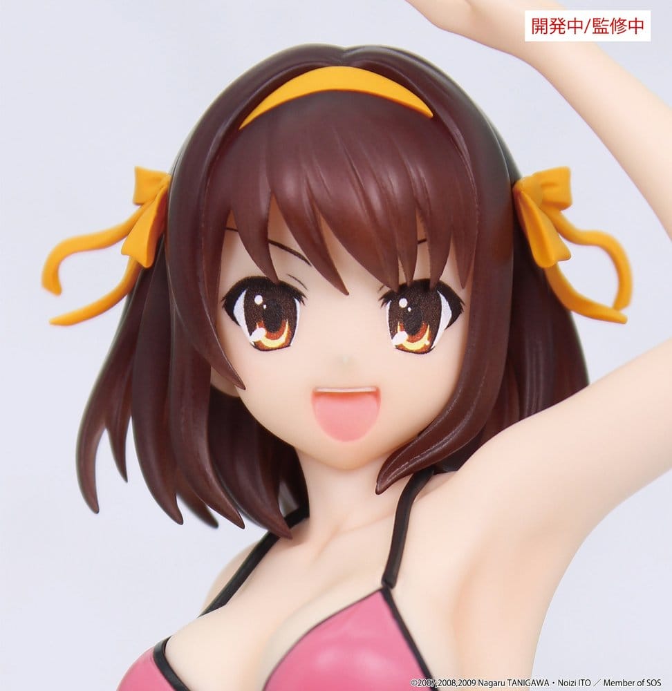 The Melancholy of Haruhi Suzumiya - Haruhi Suzumiya - Vivit – Bild 2